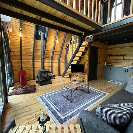 Milena Chalet Sapanca