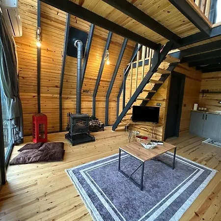 Chalet Milena Sapanca